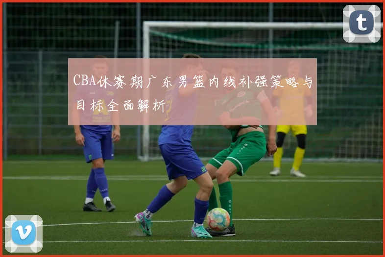 CBA休赛期广东男篮内线补强策略与目标全面解析